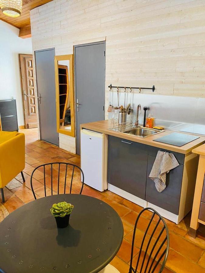 Studio Ile De La Barthelasse A Deux Pas Du Centre Aviñón Exterior foto