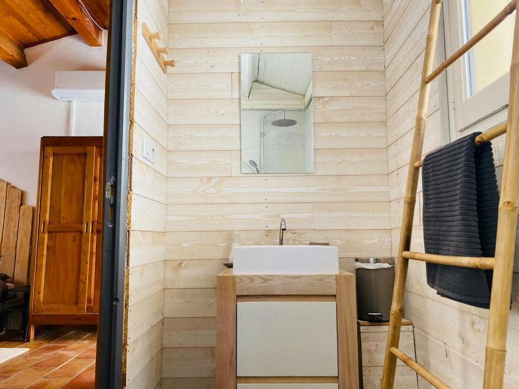 Studio Ile De La Barthelasse A Deux Pas Du Centre Aviñón Exterior foto